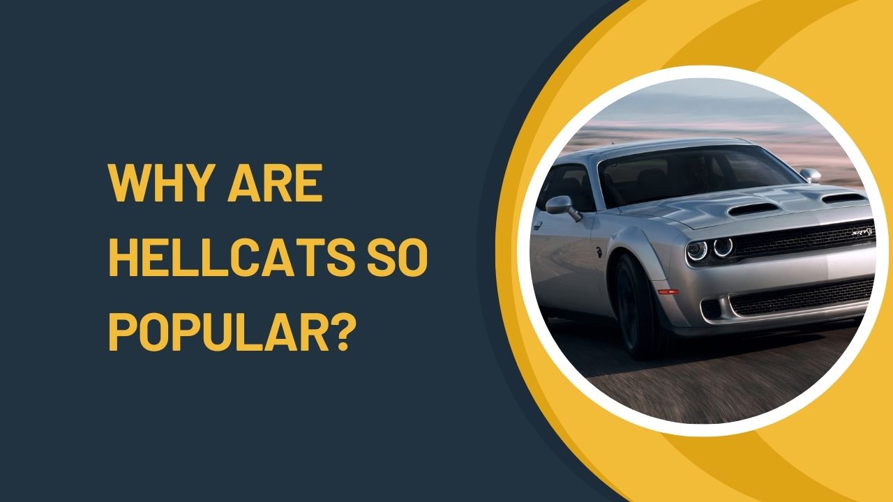Why Are Hellcats So Popular
