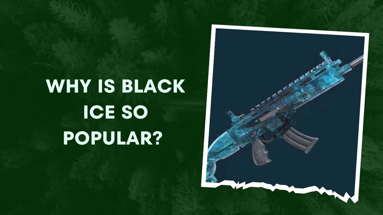 Why Is Black Ice So Popular