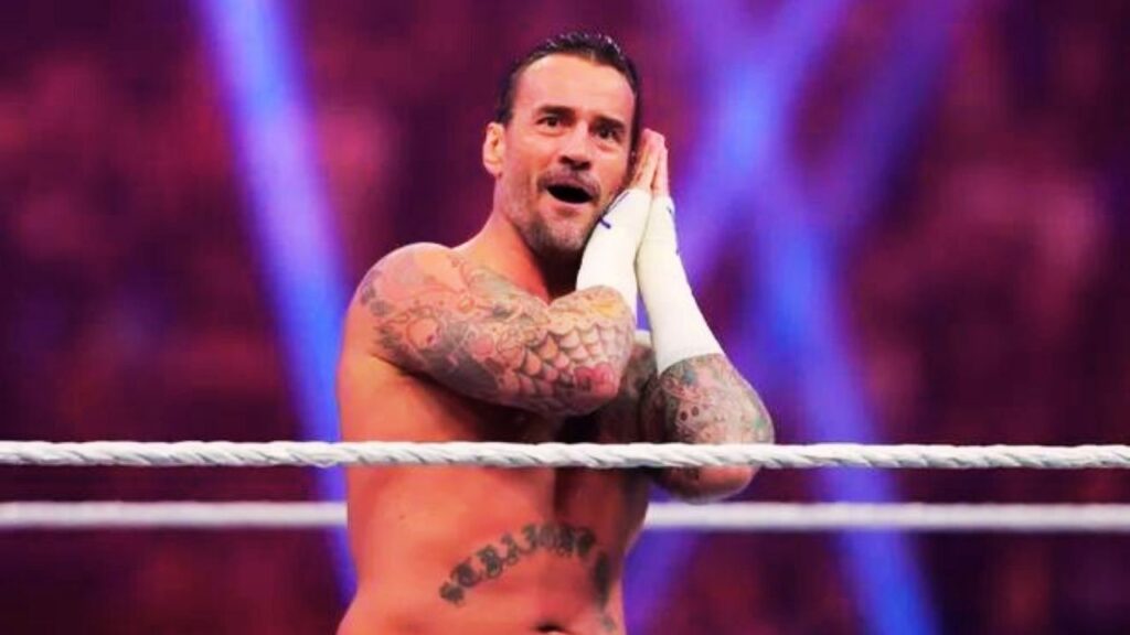 Why Is CM Punk So Popular