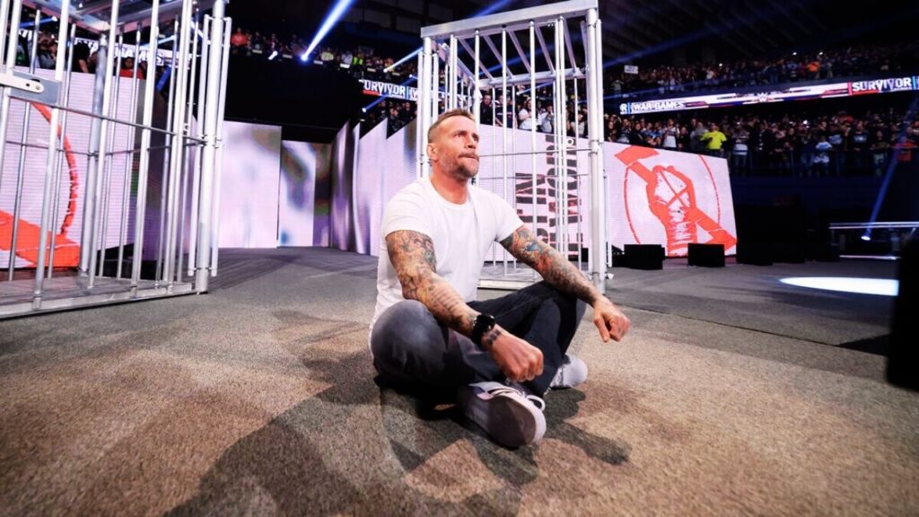 Why Is CM Punk So Popular