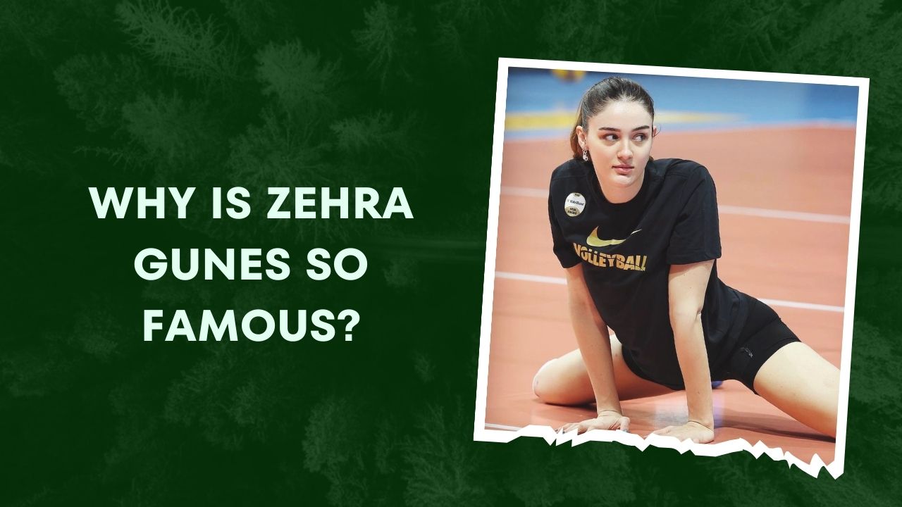 Why Is Zehra Gunes So Famous
