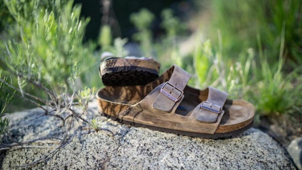 Why Are Birkenstocks So Popular