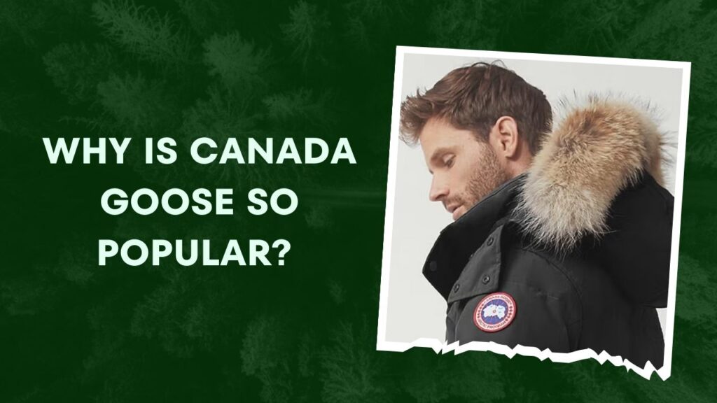 Why Is Canada Goose So Popular