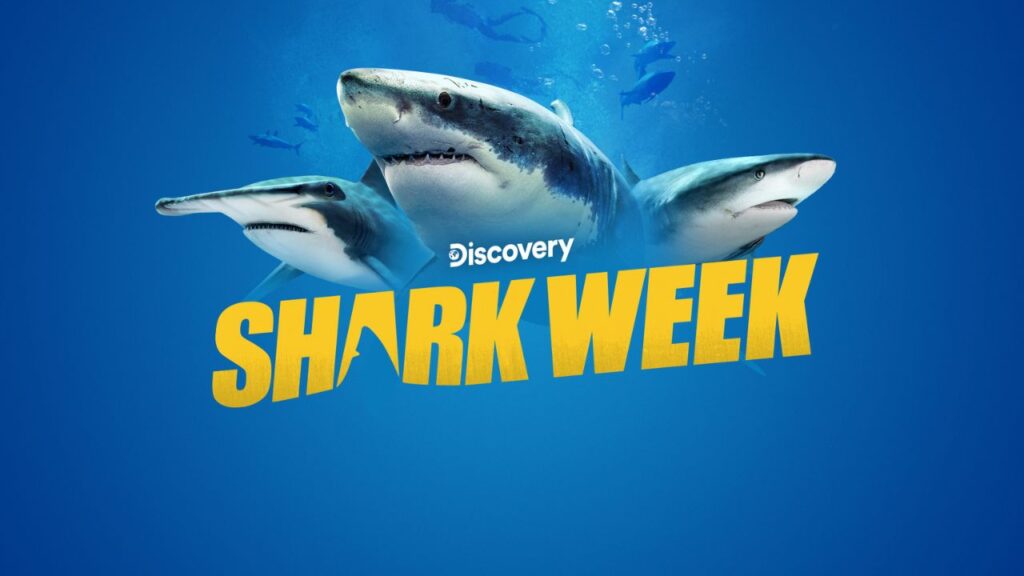 Why Is Shark Week So Popular