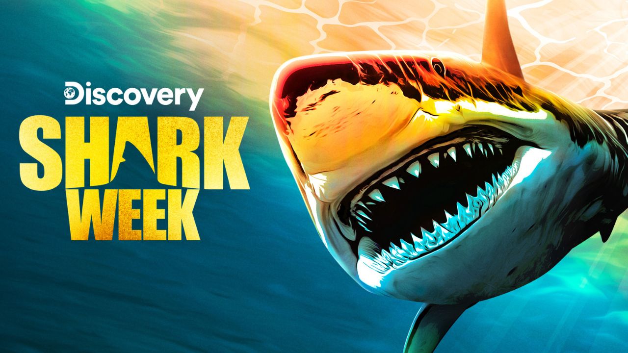 Why Is Shark Week So Popular