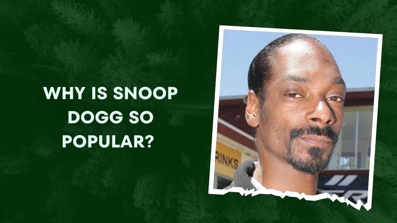 Why Is Snoop Dogg So Popular