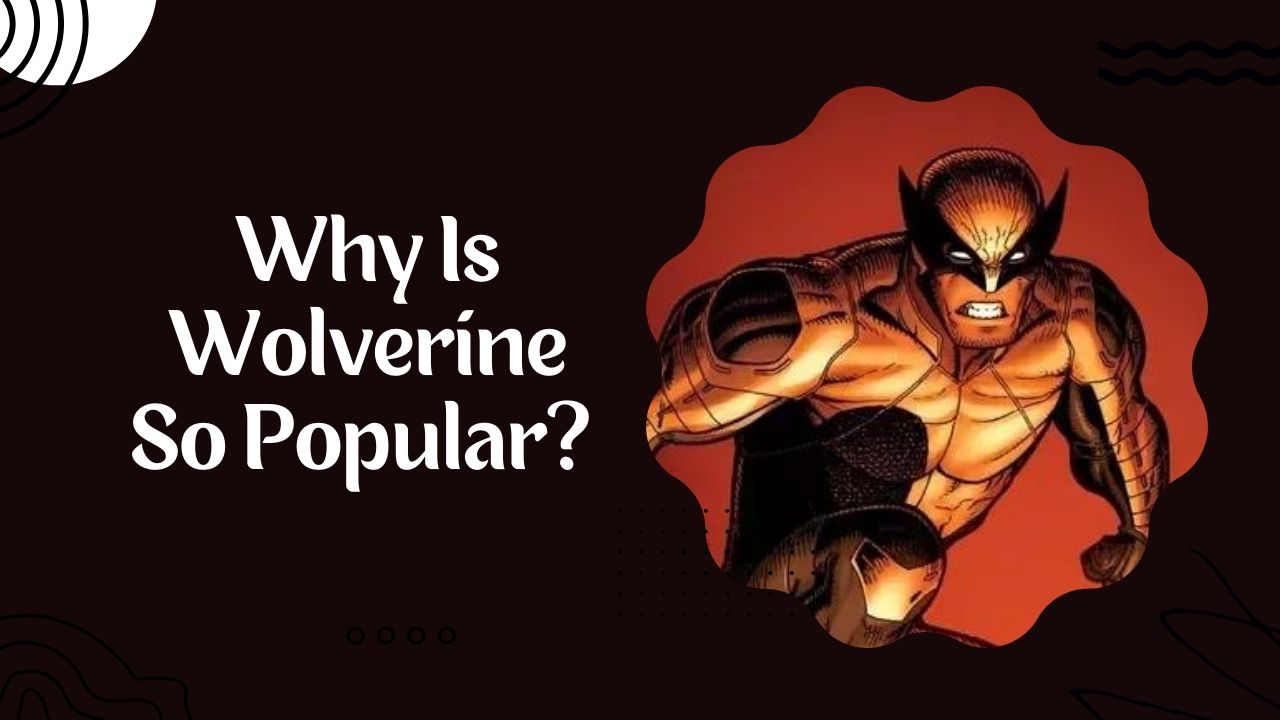 Why Is Wolverine So Popular